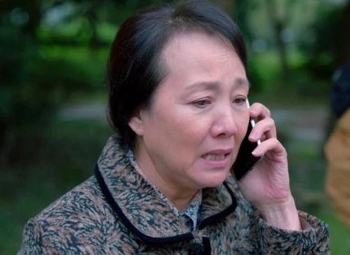 国产母子在线,打造亲子互动新平台，共筑温馨家庭时光  第3张