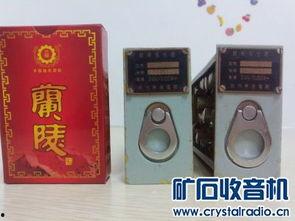 国产精品入,匠心独运，引领时代潮流的青春成长记  第2张